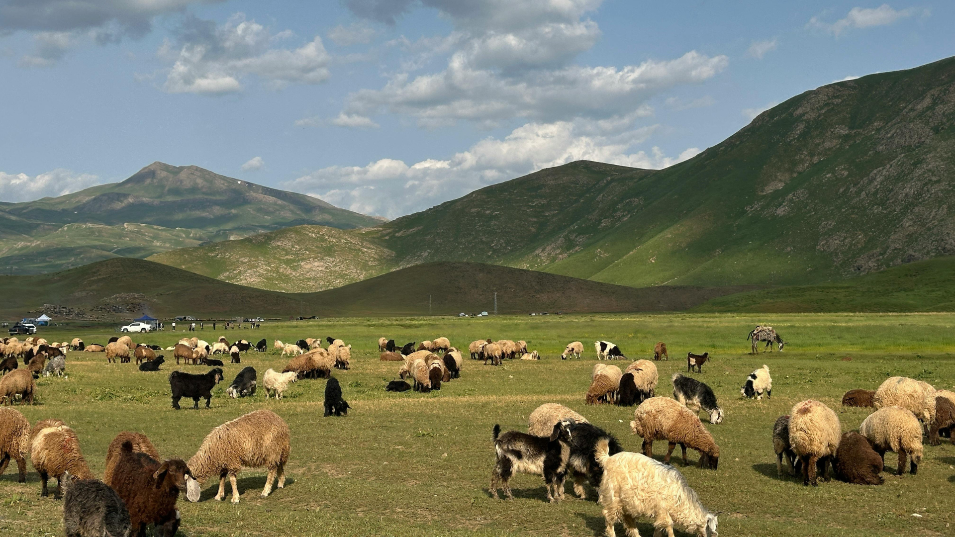 Helping farmers think beyond the Fonterra payout