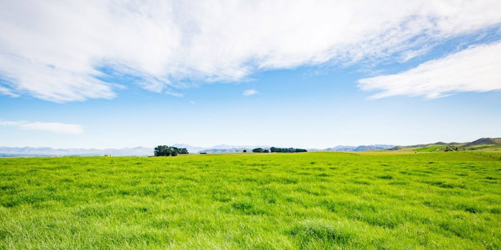 Collaboration and data give rural land investor a climate edge