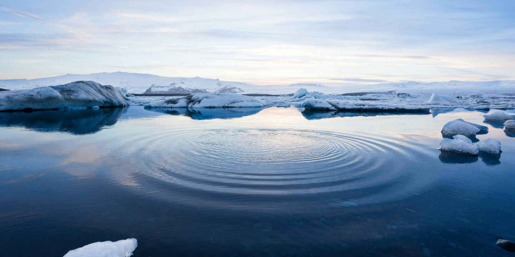 Who speaks for the climate?